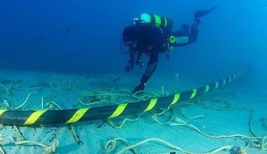 Ảnh minh họa. Nguồn Internet