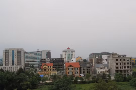 Ảnh minh họa. nguồn Internet