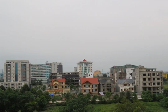 Ảnh minh họa. nguồn Internet