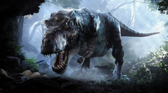 Ảnh minh họa. Nguồn Internet