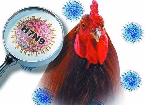 Ảnh minh họa. Nguồn Internet