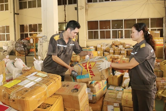 Ảnh minh hoạ: Báo NLĐ 