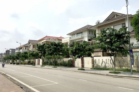 6 lô biệt thự ở vị trí đắc địa tại TP Lào Cai hiện là nơi ở của gia đình bí thư Tỉnh ủy Lào Cai và nhiều lãnh đạo ban ngành của tỉnh. Ảnh Tuổi trẻ