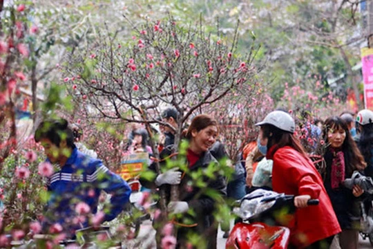 Hình minh họa. Nguồn: ĐSPL 