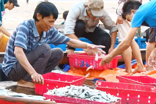 Ảnh minh họa. Nguồn: Internet