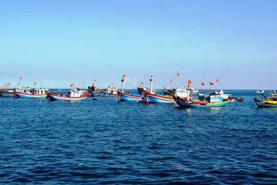 Ảnh minh họa. Nguồn Internet