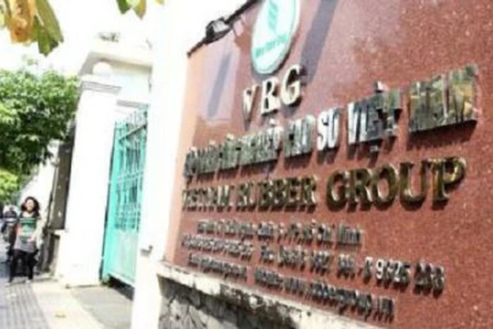 Ảnh minh họa. Nguồn Internet