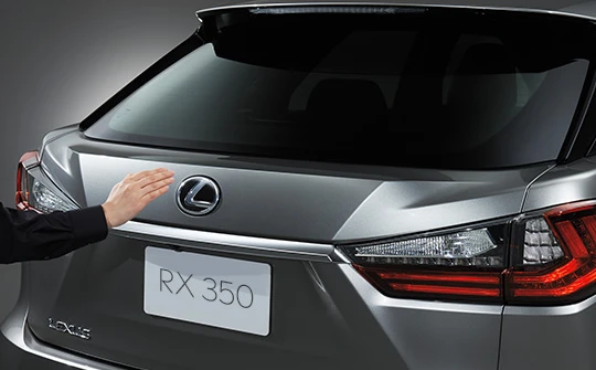 Xe Luxus RX được đăng ký biển số thành xe PEUGEOT (Ảnh minh họa)