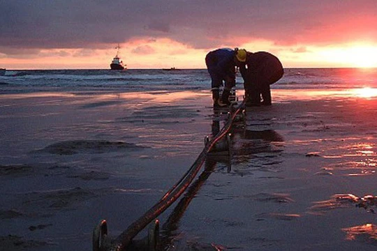 Ảnh minh họa. Nguồn Dân trí.