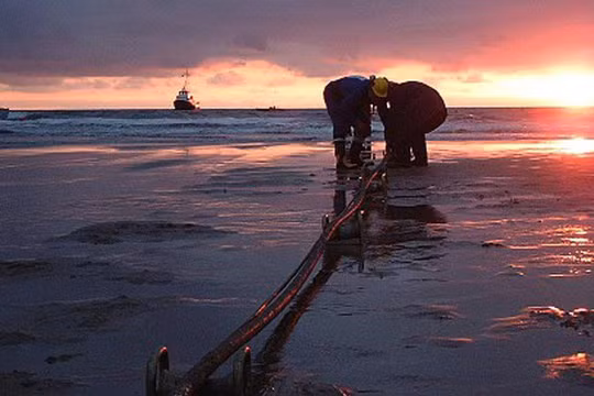 Ảnh minh họa. Nguồn Dân trí.