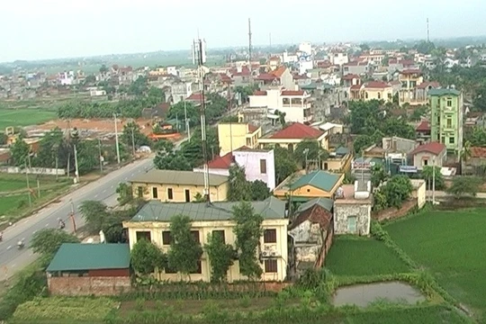 Ảnh minh họa, nguồn Internet