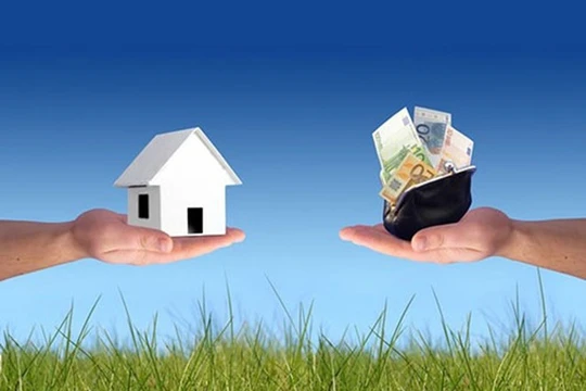 Ảnh minh họa. Nguồn Internet