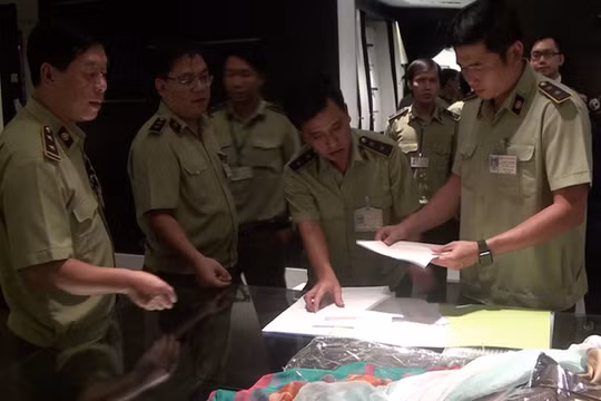 Cán bộ Quản lý thị trường đang tiến hành đối chiếu hóa đơn chứng từ.