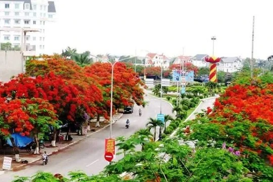 Ảnh minh họa - Nguồn: Cổng TTĐT HP