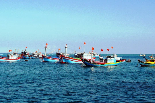 Ảnh minh họa. Nguồn Internet