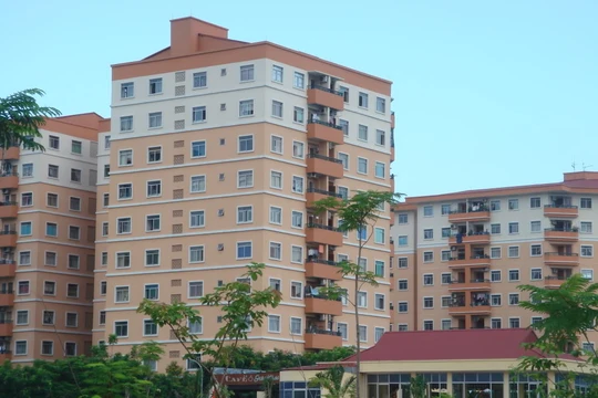 Ảnh minh họa. Nguồn Internet