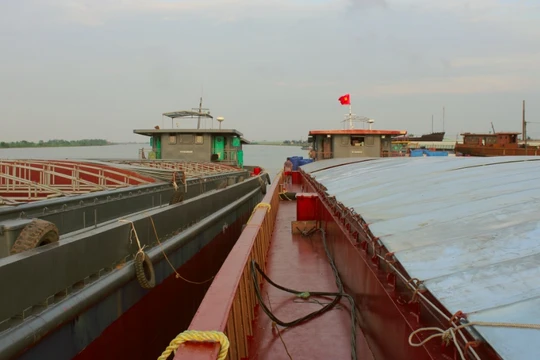 Ảnh minh họa. Nguồn Internet.