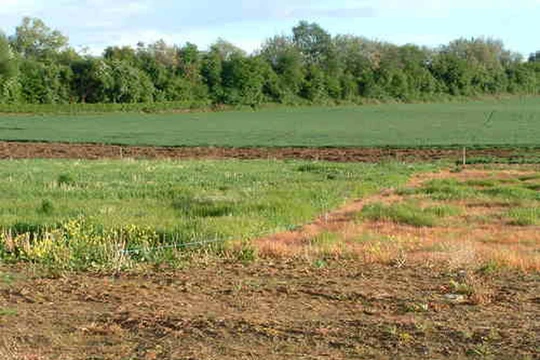 Ảnh minh họa. Nguồn Internet