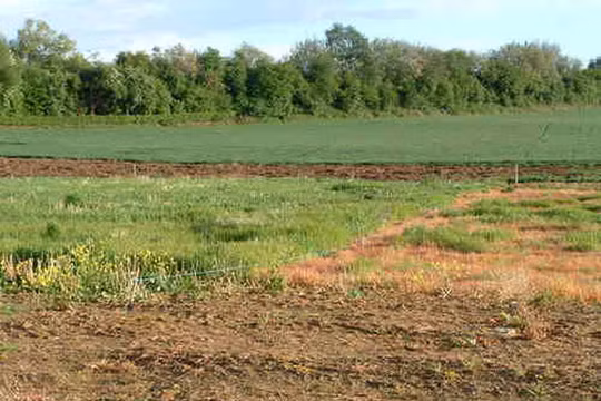 Ảnh minh họa. Nguồn Internet