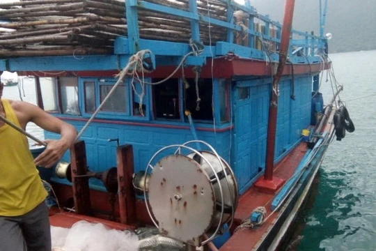 Chiếc tàu cá BĐ 31153 TS bị tàu nước ngoài truy sát . Nguồn Tuổi trẻ