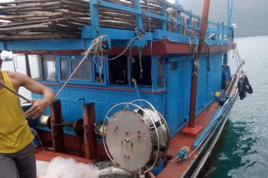Chiếc tàu cá BĐ 31153 TS bị tàu nước ngoài truy sát . Nguồn Tuổi trẻ
