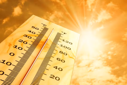 Thì ra đây là cách tránh nóng hiệu quả nhất của sinh viên trong những ngày hè đổ lửa