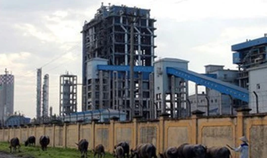 Ảnh minh họa. Nguồn Internet