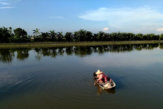 Ảnh "Mưu sinh" được chụp từ Bphone 2017