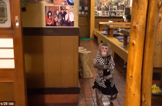 "Cô bồi bàn" Fuku-chan