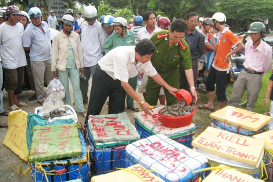 Ảnh minh họa. Nguồn Internet