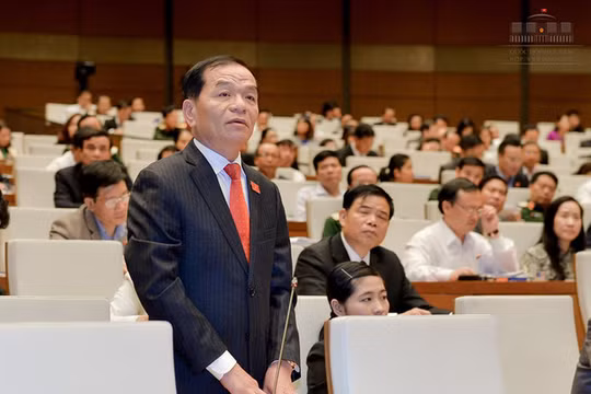 Đại biểu Quốc hội Lê Thanh Vân (Ảnh: Quochoi.vn)