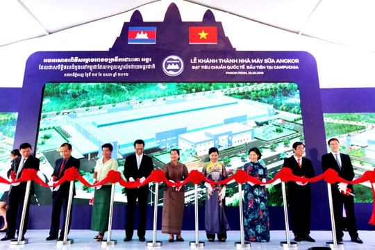 Ảnh minh họa. Nguồn Internet