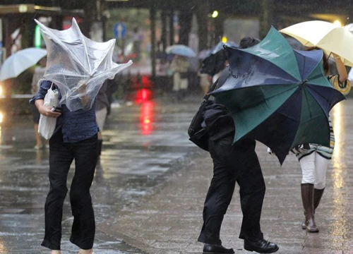 Ảnh minh hoạ: Internet