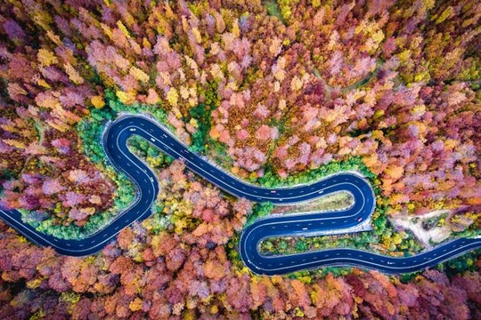 Một bức ảnh trong danh sách