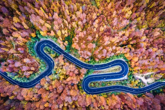 Một bức ảnh trong danh sách