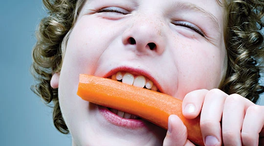 Ảnh minh họa. Nguồn Internet