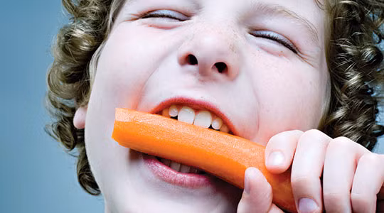 Ảnh minh họa. Nguồn Internet