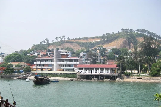 Ảnh minh họa. Nguồn Internet