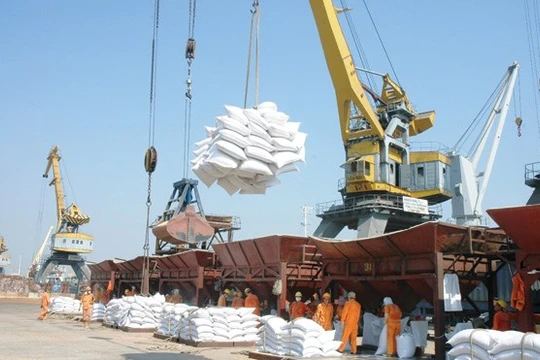 Ảnh minh họa. Nguồn Internet