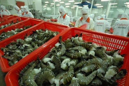 Ảnh minh họa. Nguồn Internet