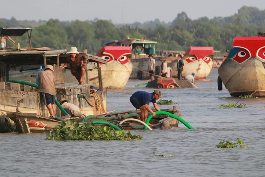Ảnh minh họa. Nguồn Internet