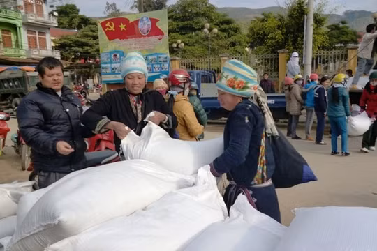 Ảnh minh họa. Nguồn Internet