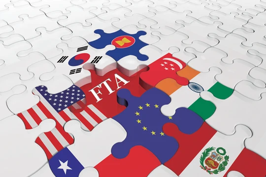 Ảnh minh họa. Nguồn Tư vấn luật 24h