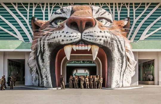 Rạp xiếc là điểm đến thư giãn của người giàu ở Triều Tiên. Nguồn Barcroft Images