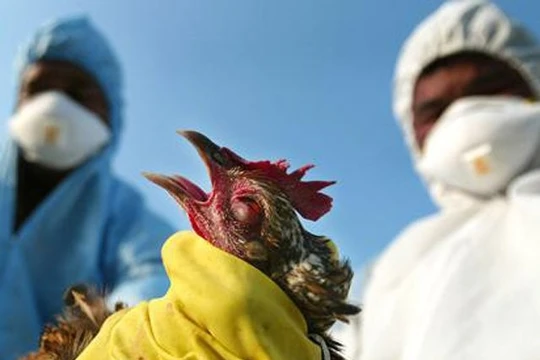 Ảnh minh họa. Nguồn Internet