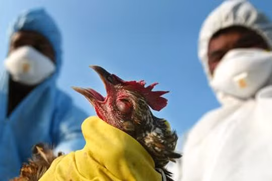 Ảnh minh họa. Nguồn Internet