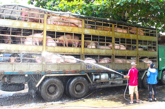 Ảnh minh họa. Nguồn Internet