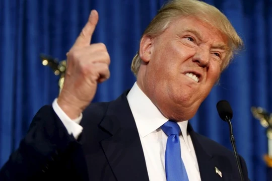 Donald Trump đã trở thành một nhân vật chính trị cực đoan đến mức công chúng hoặc ngợi ca ông hoặc bài trừ ông.