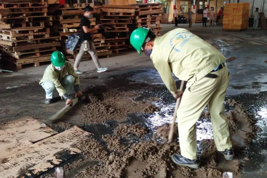 Công ty cổ phần Môi trường đô thị và công nghiệp 10 (URENCO 10) đã vận chuyển khoảng 13,5 tấn chất thải đưa đi xử lý. 