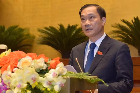 Chủ nhiệm Ủy ban Kinh tế của Quốc hội Vũ Hồng Thanh.